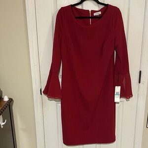 Calvin Klein Elegant Red Dress